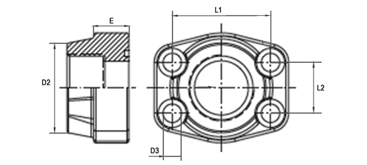 Bride 3000/6000 PSI taraudé GAZ AVEC GORGE