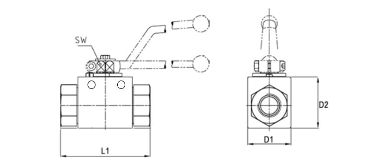 Vanne acier haute pression 2 voies DN06 à 25