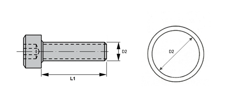 Accessoire pour bride de pompe