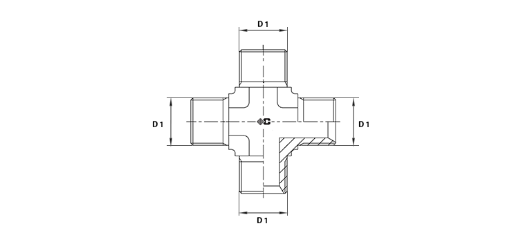Croix égale male BSP
