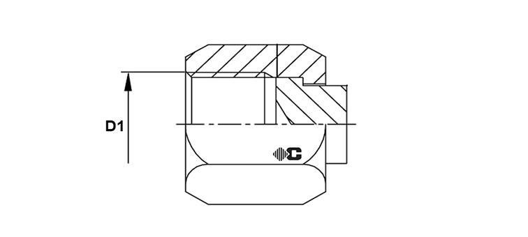 Bouchon femelle ORFS