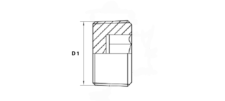 Bouchon male NPT sans tête