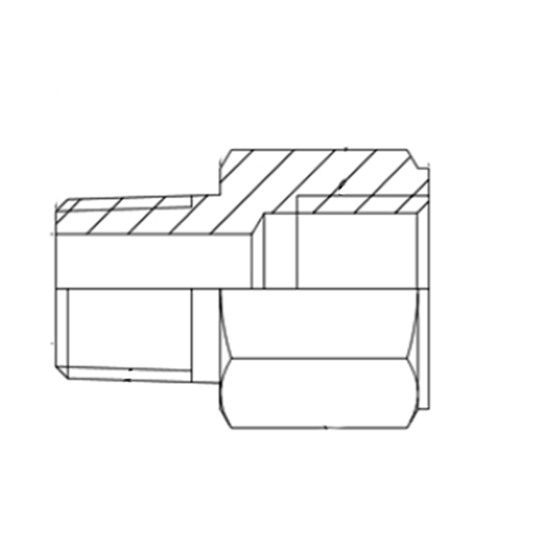 Adap male GAZ co x femelle METRIQUE