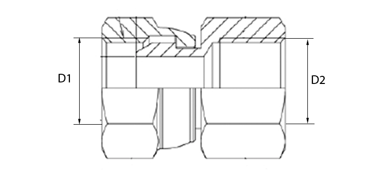 Adapteur femelle BSP x femelle GAZ