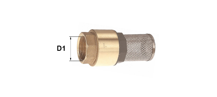 Clapet laiton avec filtre inox