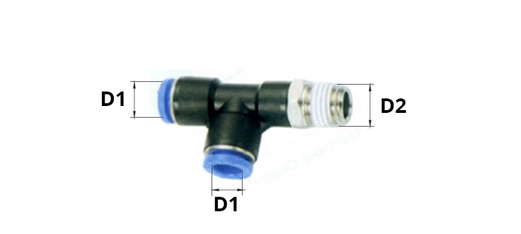 Te male renversé conique