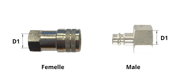 Coupleur air type Euro femelle gaz 
