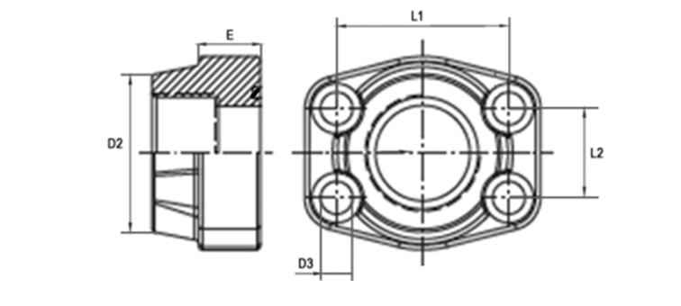 Contre bride 3000/6000 PSI taraudé GAZ
