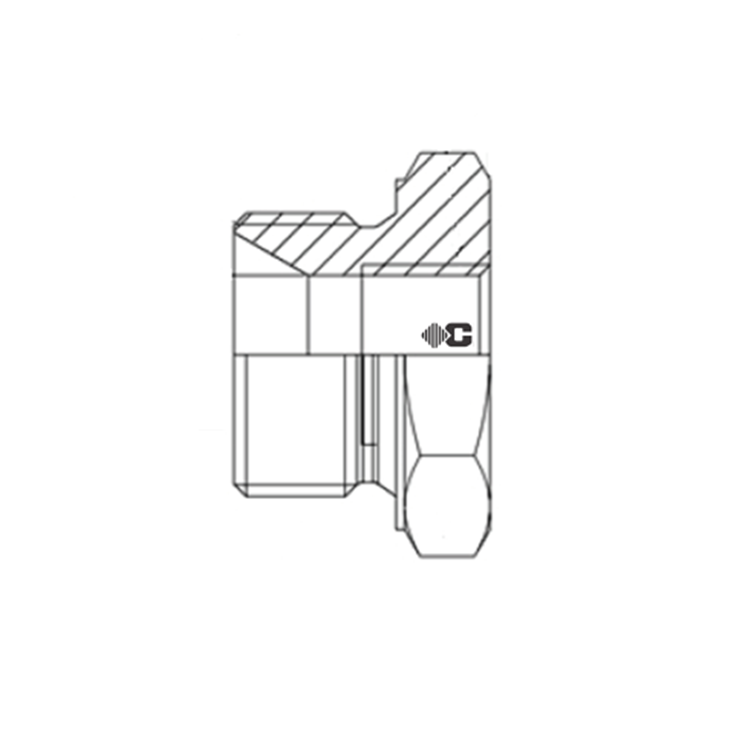 Adapteur male BSP x femelle métrique