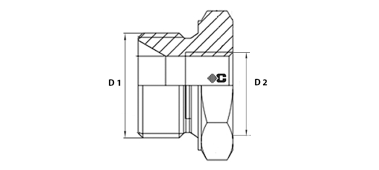 Adapteur male BSP x femelle métrique