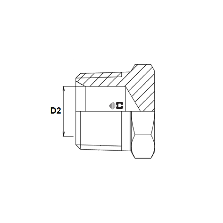 Bouchon male NPT inox