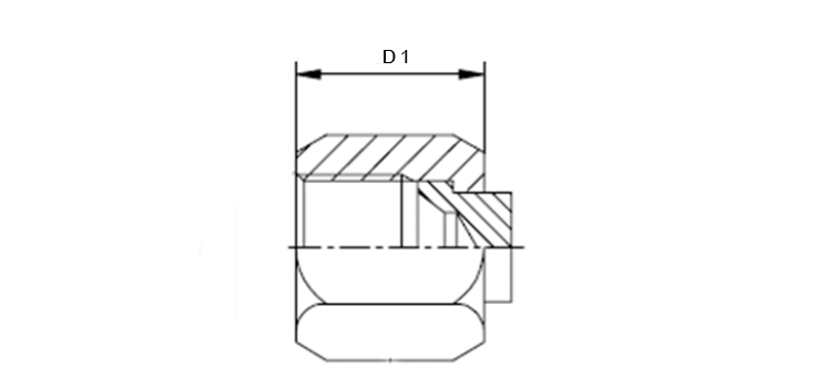 Bouchon femelle JIC inox