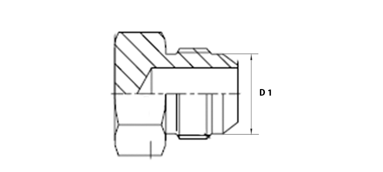 Bouchon male JIC inox